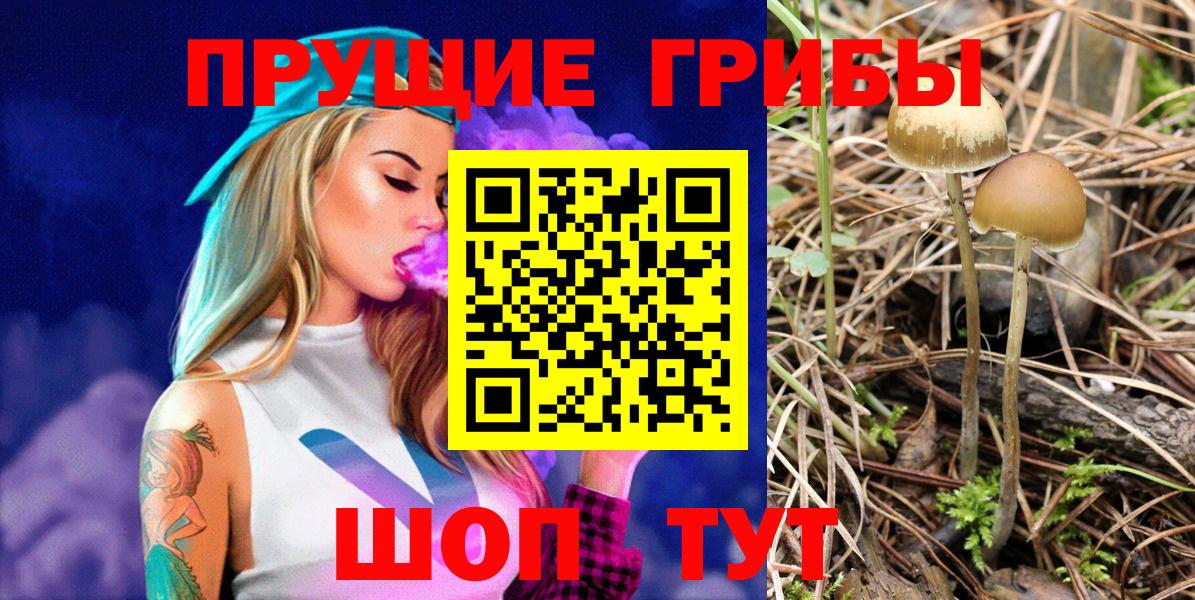 МЕФ Конаково