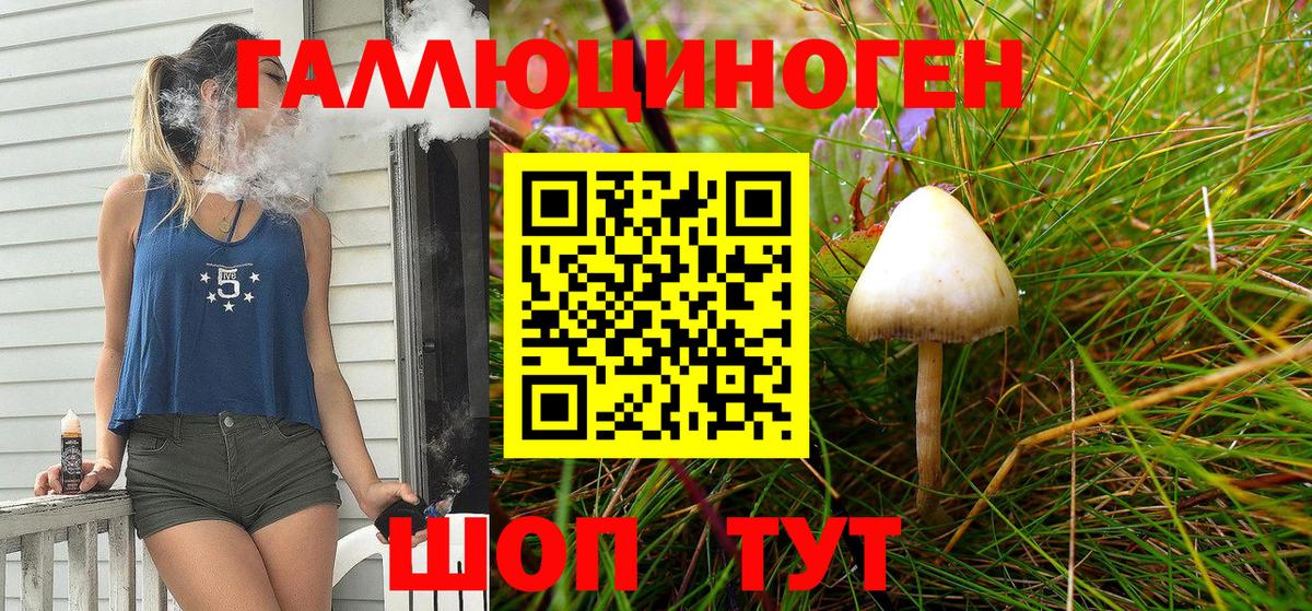 Галлюциногенные грибы Psilocybe  Конаково 